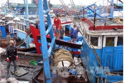 Thời tiết bất lợi, nhiều tàu thuyền của ngư dân Ninh Thuận liên tục nằm bờ 
